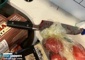 Knife recovered at Queens stabbing at 147-25 94 avenue