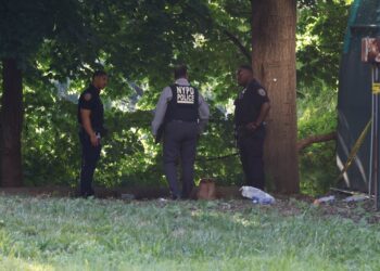 Police on the scene after a 22-year-old man allegedly pushed his mother down an embankment at Riverside Park.