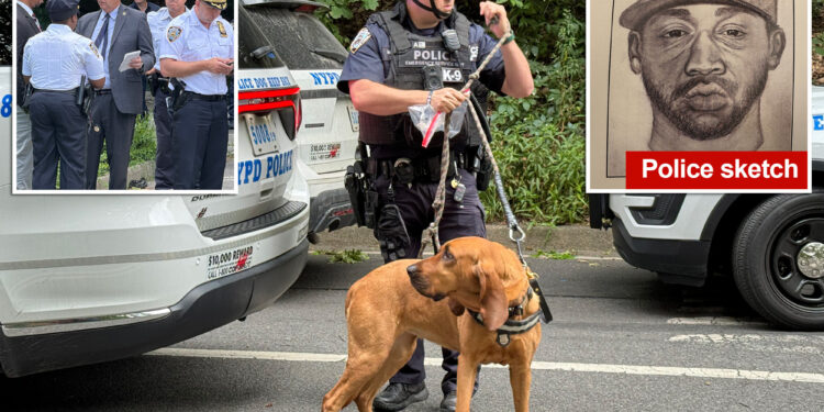 Person of interest in broad-daylight attempted rape of Central Park sunbather in custody for alleged groping on subway platform