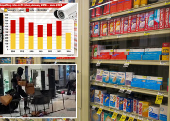 Shoplifting skyrockets by 24% across US in 2024