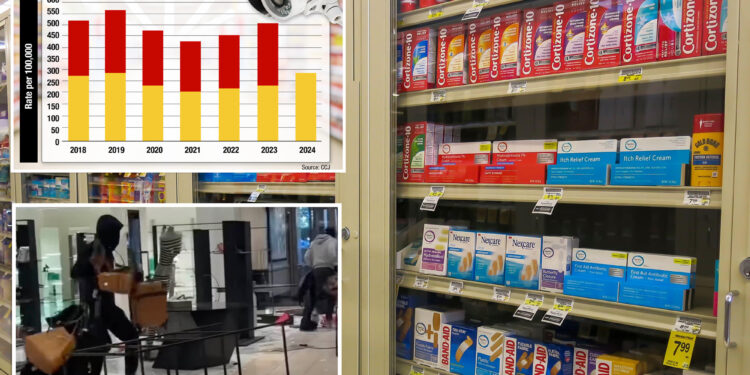 Shoplifting skyrockets by 24% across US in 2024