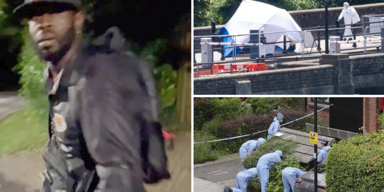 UK authorities arrest suspect after mysterious dismembered remains found in suitcases near bridge