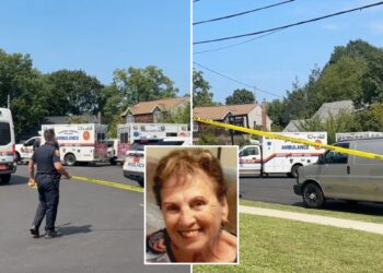 5 dead in Long Island murder-suicide just days after matriarch's death, home to be sold