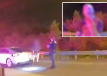 Assistant Ohio county prosecutor Christopher Murray fired for allegedly biting off a man's finger during road-rage fight: report