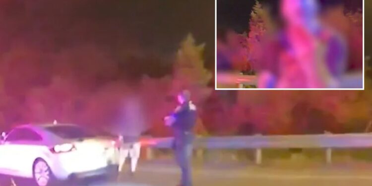 Assistant Ohio county prosecutor Christopher Murray fired for allegedly biting off a man's finger during road-rage fight: report