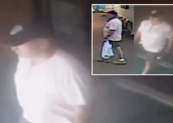 Callous stranger shoves 76-year-old woman in unprovoked, broad-daylight NYC attack: cops