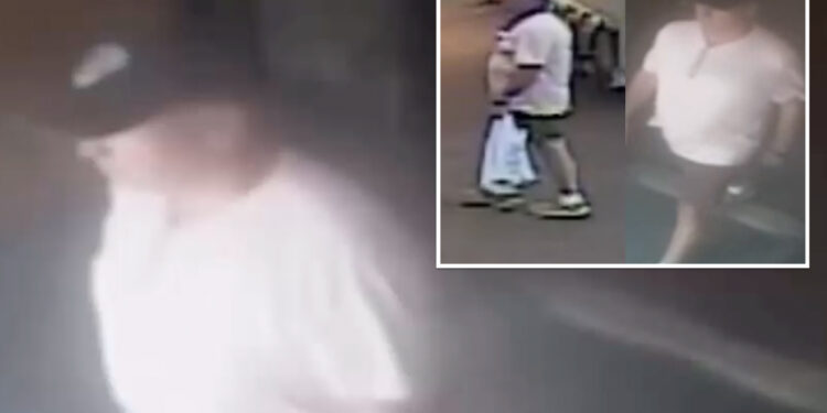 Callous stranger shoves 76-year-old woman in unprovoked, broad-daylight NYC attack: cops