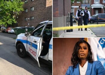 Chicago earns disturbing title of America's murder capital as DNC kicks off