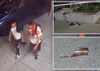 Disturbing video shows 2 brothers walking down sidewalk drenched in blood after NYC stabbing: cops