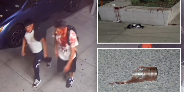 Disturbing video shows 2 brothers walking down sidewalk drenched in blood after NYC stabbing: cops