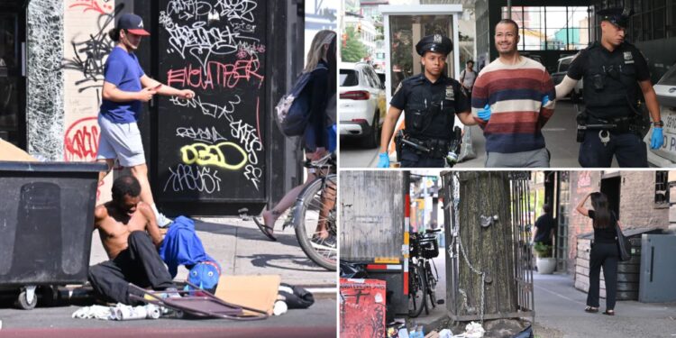 East Village 's--thole' 14th Street corridor faces multi-prong crackdown