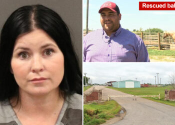 Mother accused of leaving baby in hot vehicle while she rode a horse, roper rescues baby