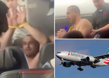 NJ man tried to have sex with flight attendant: feds