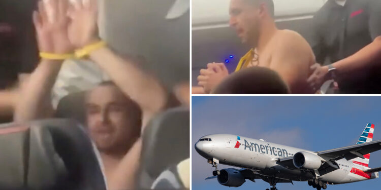 NJ man tried to have sex with flight attendant: feds