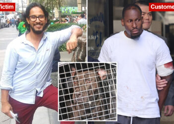 NYC pizzeria worker unresponsive after pit bull attack as owner ordered held on bail