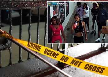 NYPD searching for pack of NYC teen girls who randomly attack 76-year-old man on Brooklyn subway platform