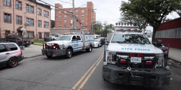 Ryan Straker, 19, punched the off-duty officer – a 54-year-old man – and ripped off his cell phone during the hold-up around noon on Snediker Avenue near Linden Boulevard in Brownsville, according to authorities and law enforcement sources. 