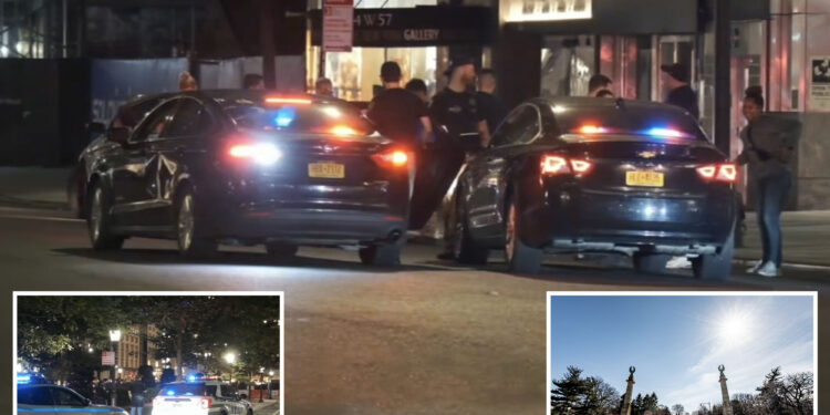 Teens busted for Central Park mugging as NYC robberies surge: cops