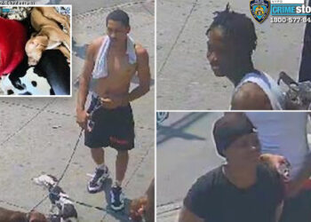 Trio of thieves beat woman, steal her two dogs on NYC street: police