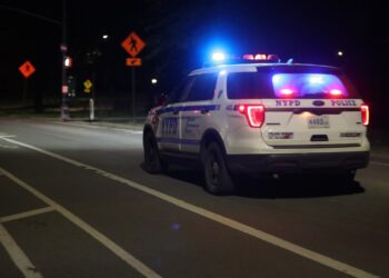 A pair of young-looking suspects robbed two 20-year-old men inside the iconic greenspace, cops said.