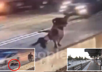 Video shows brute trying to drag woman into traffic at LA train station