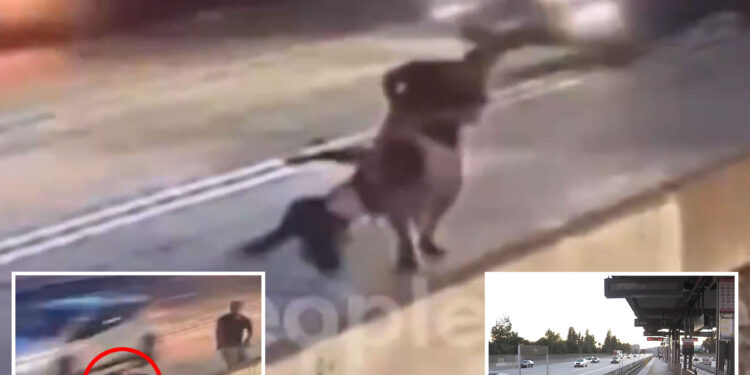 Video shows brute trying to drag woman into traffic at LA train station