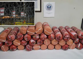 Border patrol seize more than 700 pounds of illegal bologna at Texas border