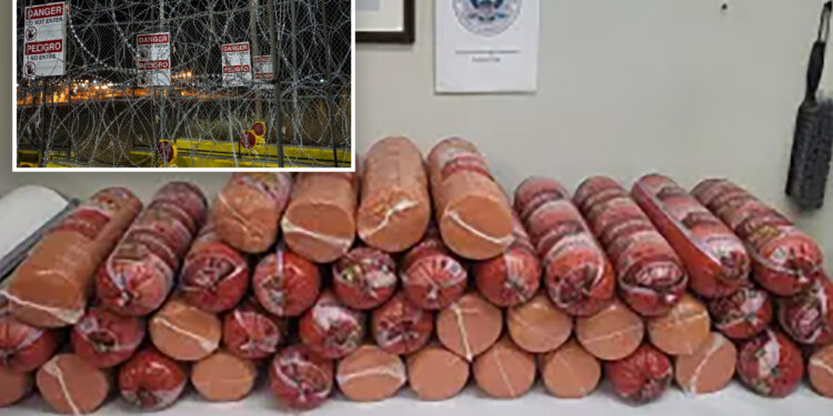 Border patrol seize more than 700 pounds of illegal bologna at Texas border