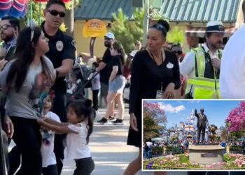 Disneyland mom Jessenia Diaz seen in viral TikTok being arrested next to sobbing kids breaks silence
