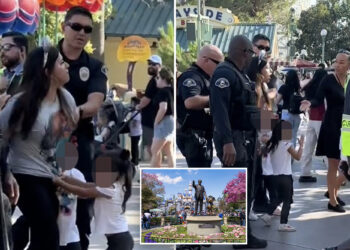Disneyland mom hauled out in cuffs alongside hysterical children she tried sneaking into park without paying