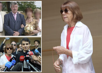 French husband accused of drugging wife allegedly let HIV-positive attacker rape her six times