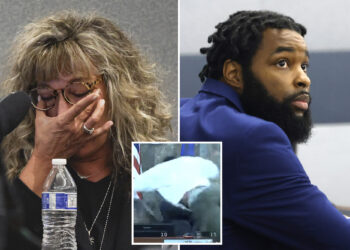 Judge attacked by convicted felon in court chokes back tears, says she feared for her life as he pleads guilty