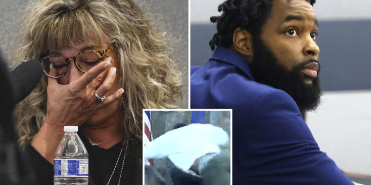 Judge attacked by convicted felon in court chokes back tears, says she feared for her life as he pleads guilty