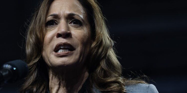 Kamala Harris and Joe Biden are to blame for Tren de Aragua's takeover of New York