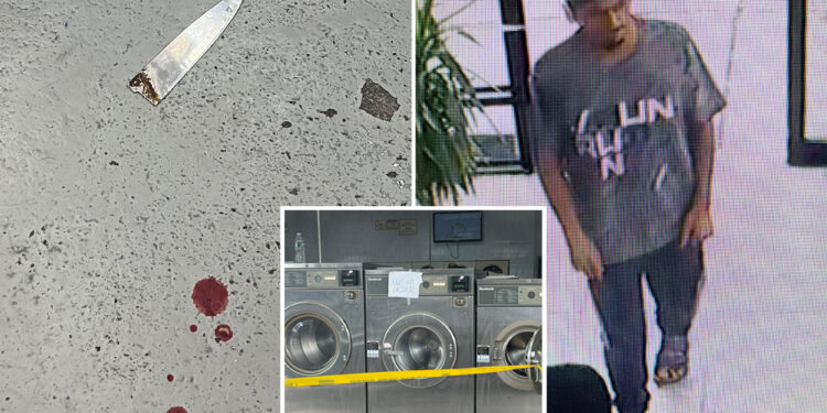 Maniac customer stabs NYC laundromat worker because his dry cleaning wasn't ready: owner