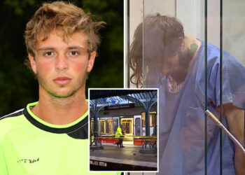 NJ man who chewed elderly man's ear off in attack sentenced to 3 years in prison