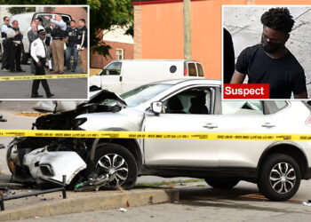 NYC driver killed by stray bullet as car slams into woman out for a stroll: cops