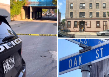 NYC ex-con charged in slaying of man whose remains were found in crockpot, burning shopping cart: cops