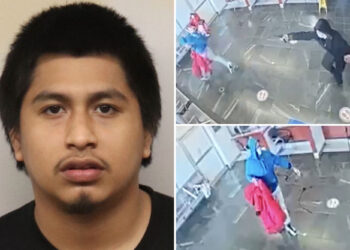 NYC gunman who shot up Jacobi ER sentenced 12 years in prison