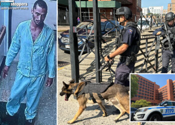 NYC inmate escapes from custody at hospital after virtual appearance before judge