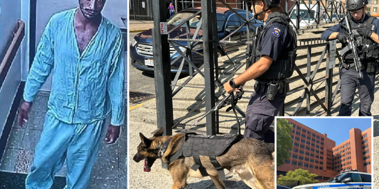 NYC inmate escapes from custody at hospital after virtual appearance before judge