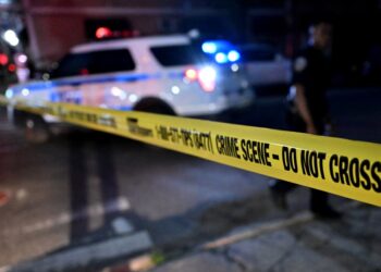 A 58-year-old man punched in the back of the head by a maniac during a random assault on a Bronx street last month has died from his injuries.