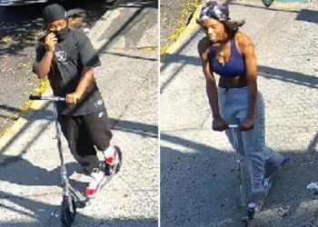 The 88-year-old victim was targeted by the two brutes as she walked on 50th Street near Fifth Avenue in Sunset Park around 4 p.m. Sunday, cops said.