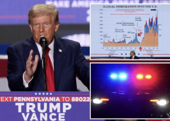 Trump says rampant theft could be stopped in 'one real rough, nasty' day of policing