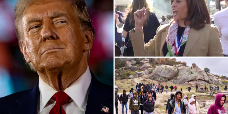 Trump slams Harris over data showing nearly 15K illegal immigrants in US accused or convicted of homicide