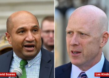 Upstate NY Democrat goes rogue and launches write-in campaign, breaks with party on bail reform