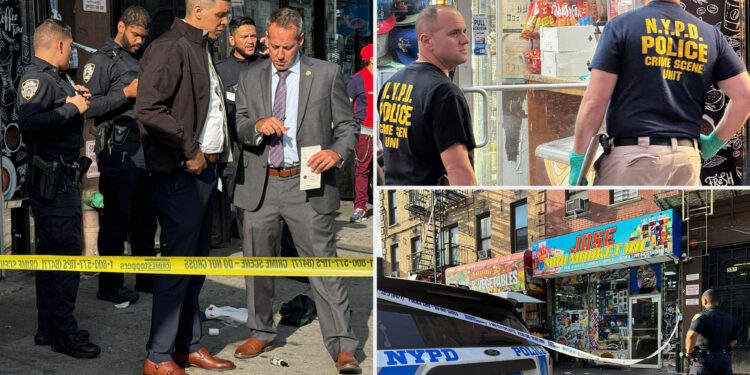 29-year-old mother stabbed to death inside NYC deli during broad-daylight feud