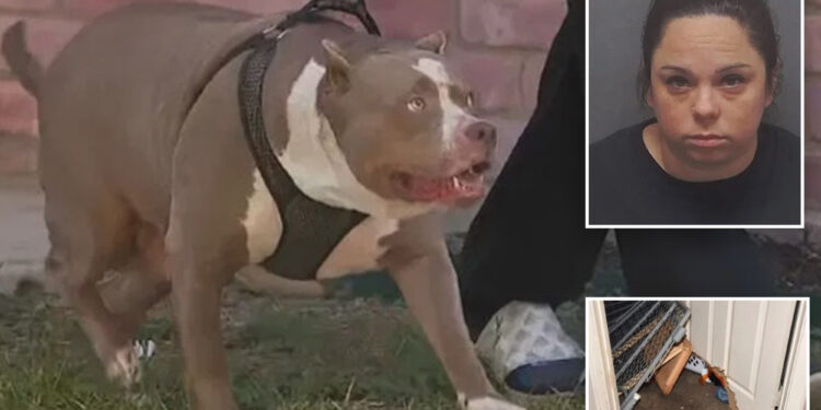 Babysitter charged after baby mauled to death by pit bulls