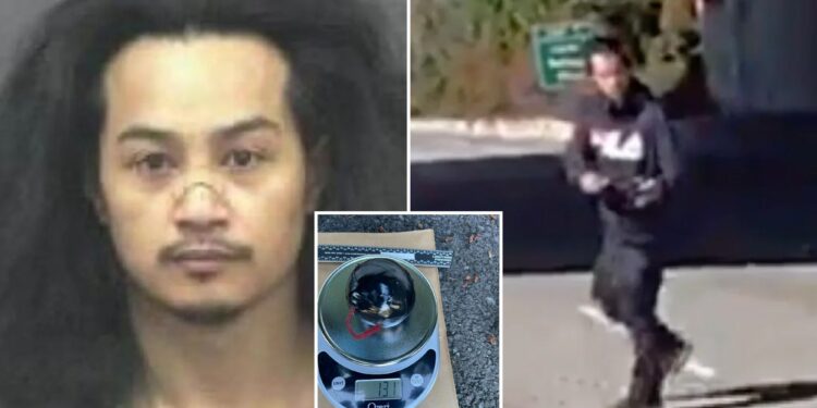 Bodycam footage shows suspect try to light bomb as he's chased by police on Washington highway