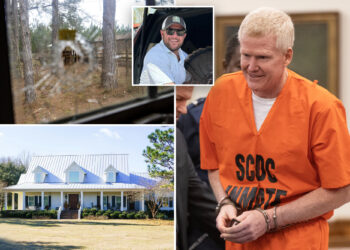 Buyer of Alex Murdaugh's murder house claims he's found evidence proving convicted killer is innocent